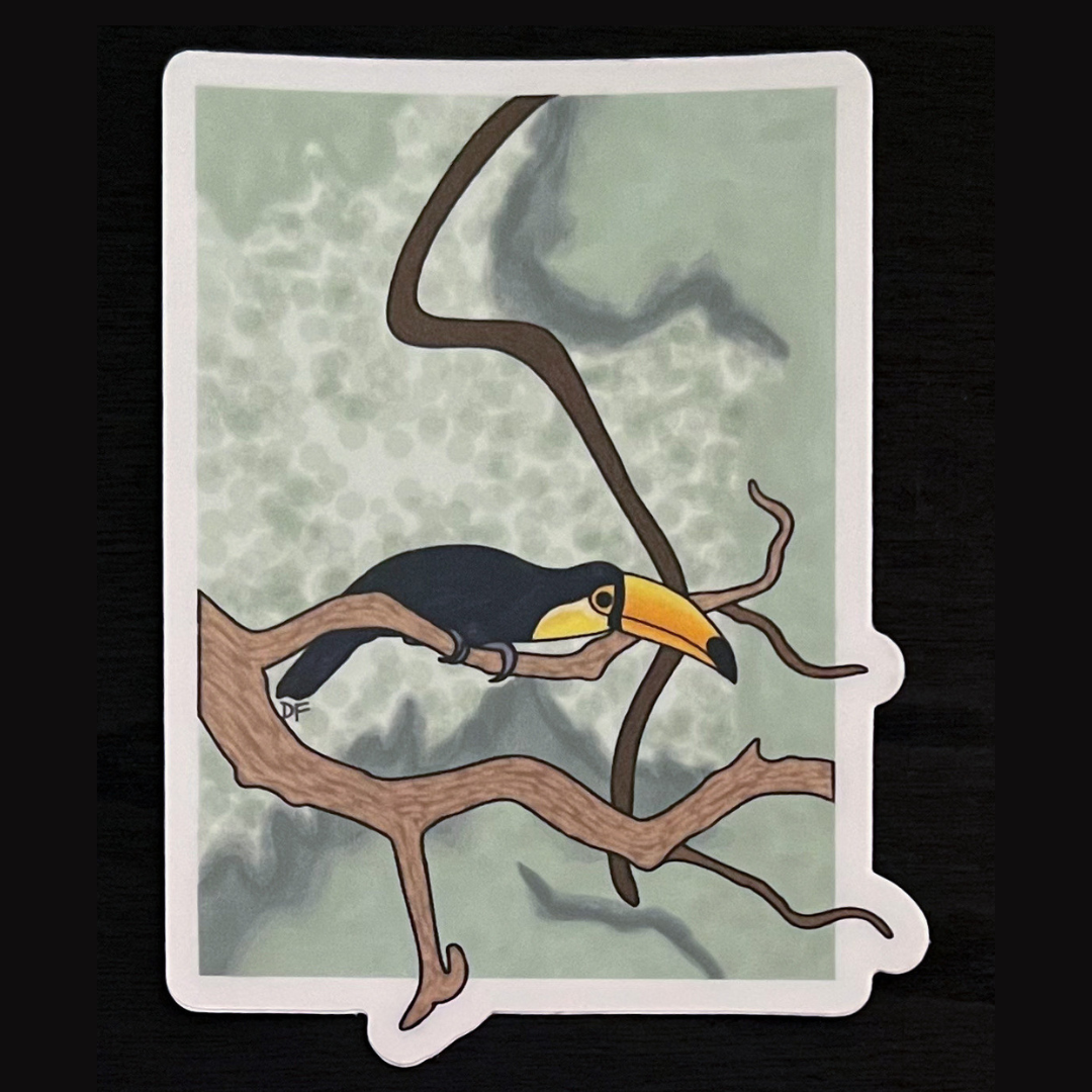 Toucan