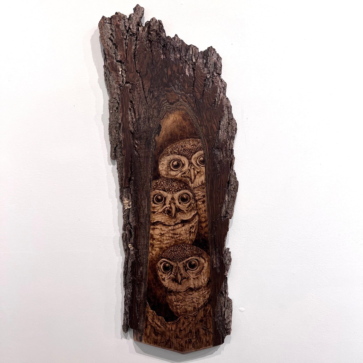 3 in a Tree
