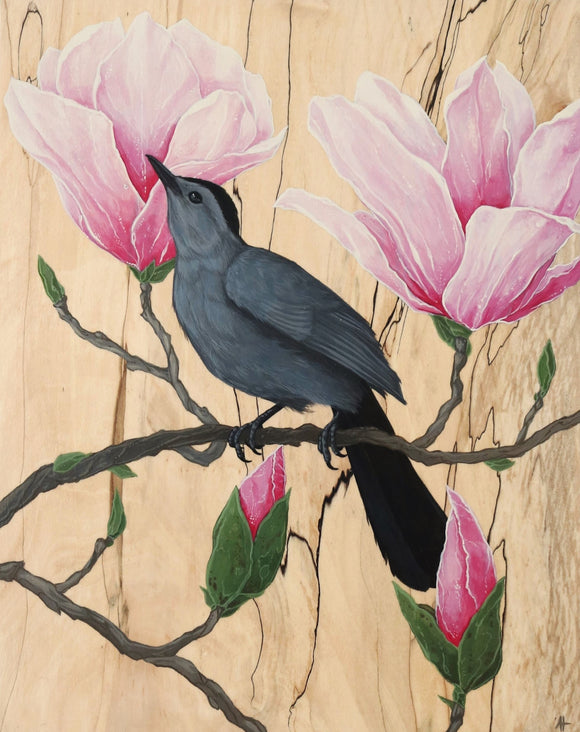 Grey Catbird in Magnolia