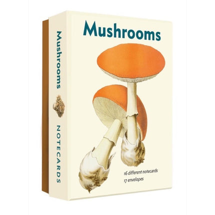 Mushroom Notecards