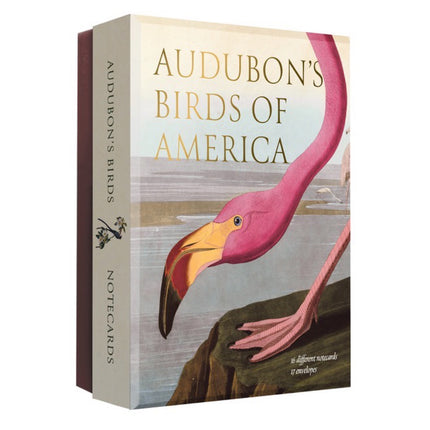 Audobon's Birds Notecards