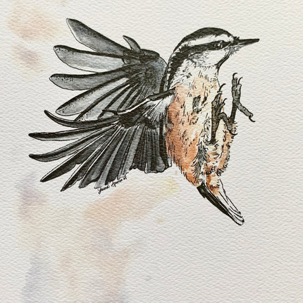 Chickadee - 5" x 7"