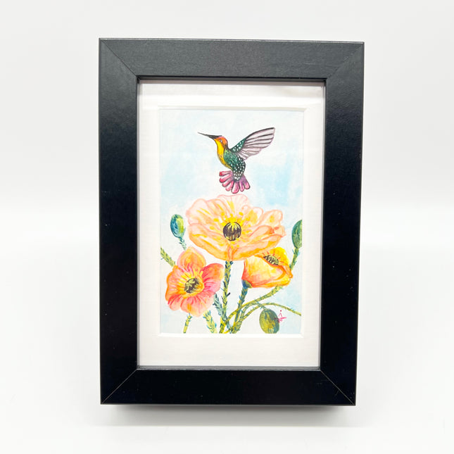 Poppies & Hummingbird