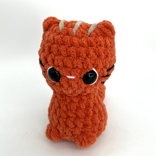 Orange Ginger Cat
