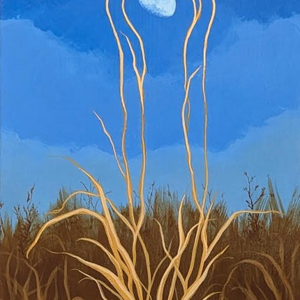 Daymoon