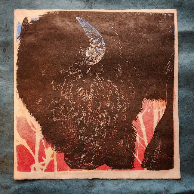 Bison