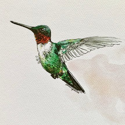 Ruby-Throated Hummingbird  - 8" x 10"