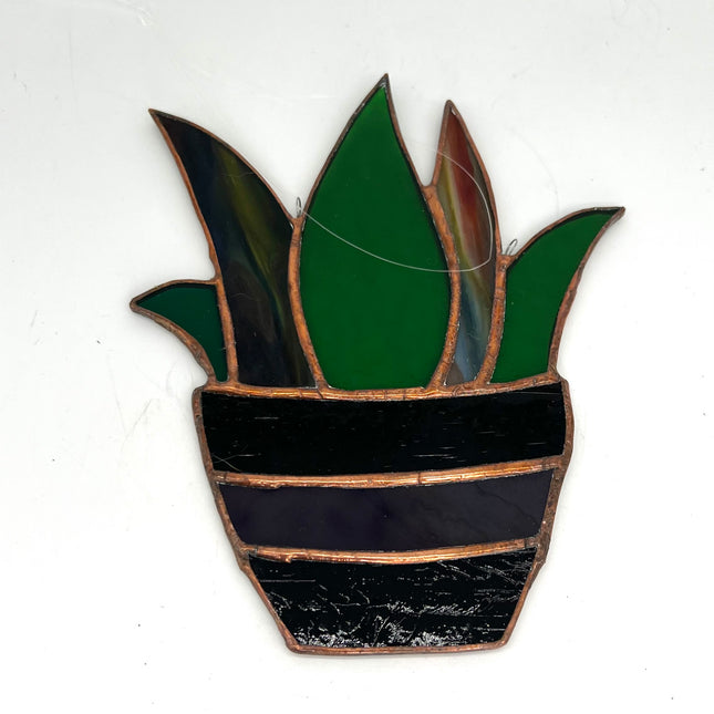 Plant in Purple Pot