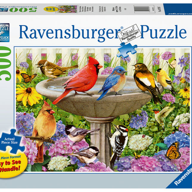 At the Bird Bath Puzzle