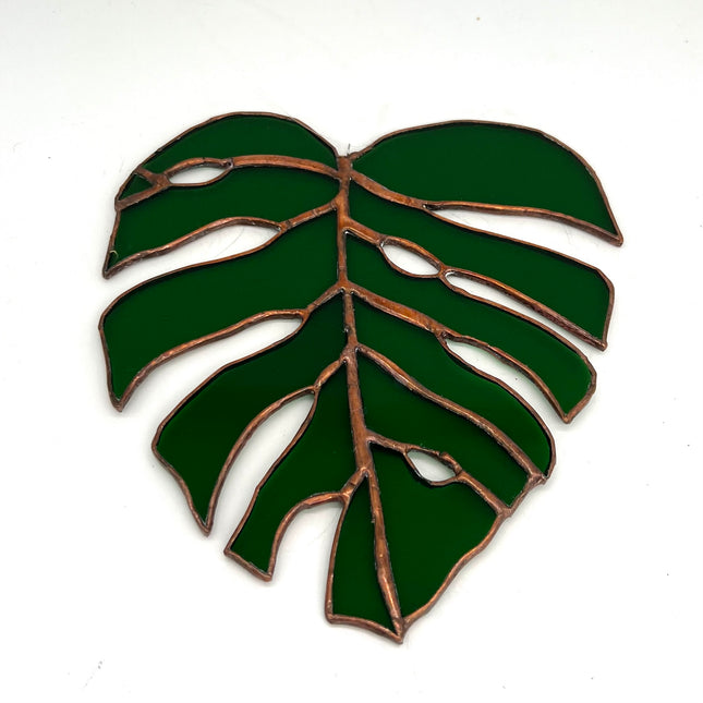 Monstera