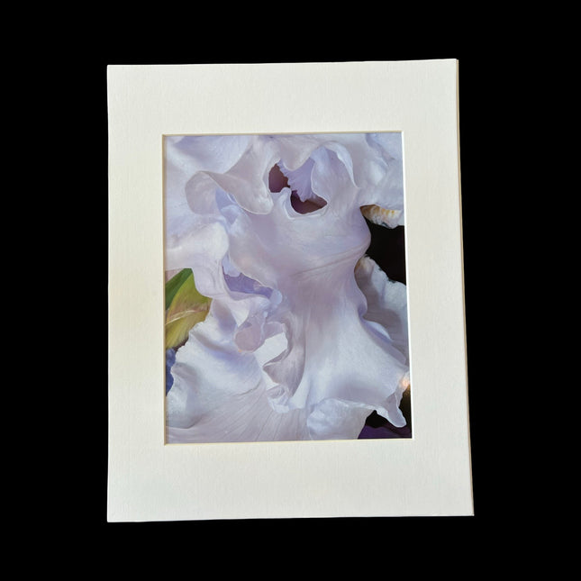 Charmed print