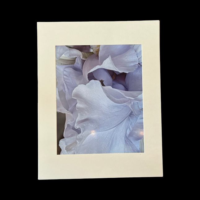 Solitude print