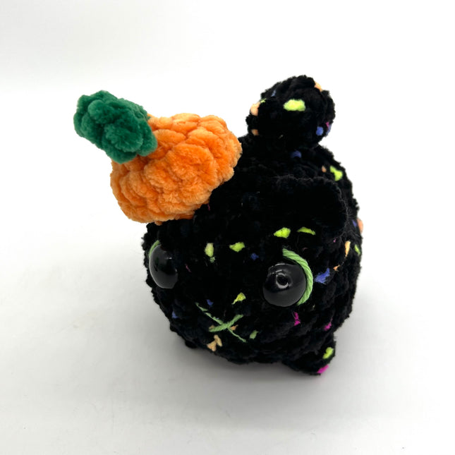 Black Confetti Cat w/ Pumpkin Hat