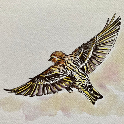 Pine Siskin - 5" x 7"