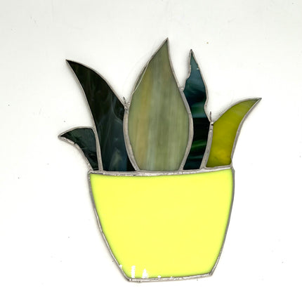 Plant in Yellow Pot