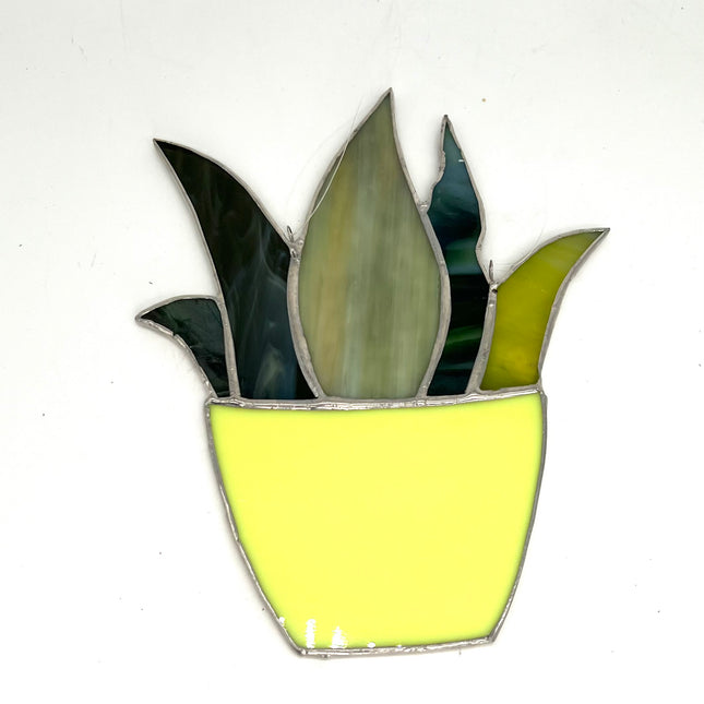 Plant in Yellow Pot