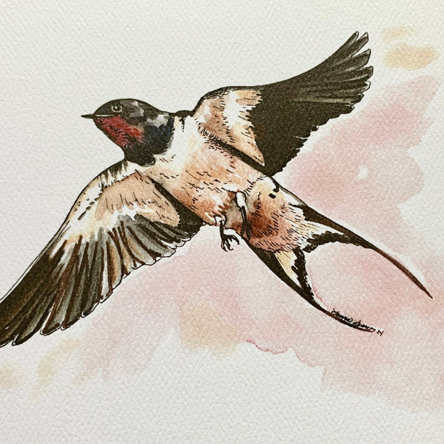 Barn Swallow - 5" x 7"