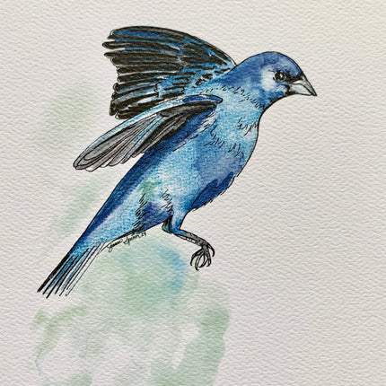 Indigo Bunting - 5" x 7"