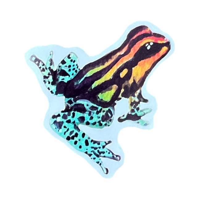Rainbow Poison Dart Frog