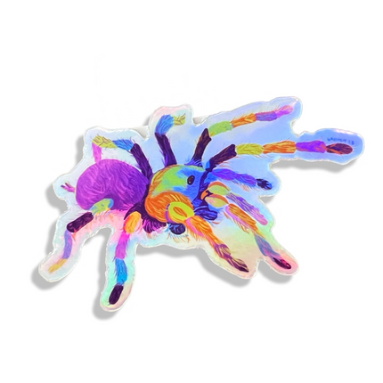 Holographic Itsy Bitsy Spider