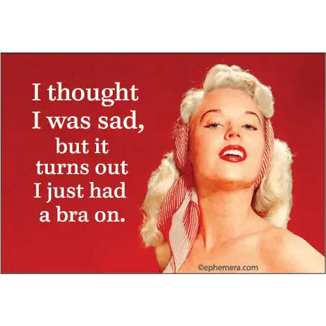 Bra Magnet