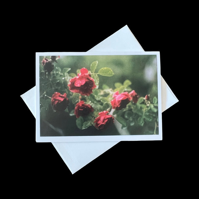 Amore Card