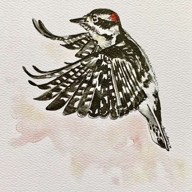 Downy Woodpecker - 5" x 7"