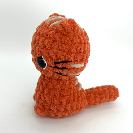 Orange Ginger Cat