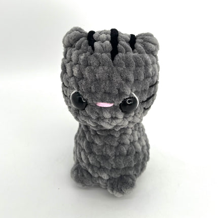 Gray Ginger Cat