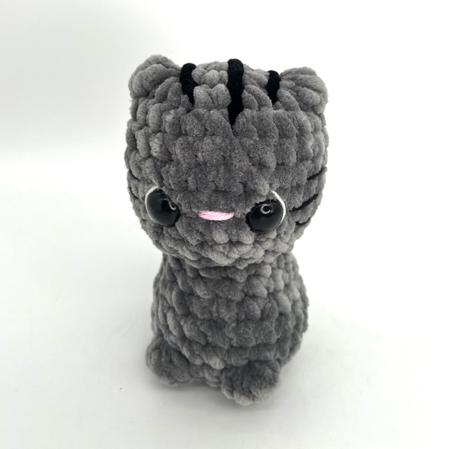 Gray Ginger Cat