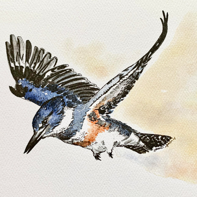 Kingfisher  - 8" x 10"