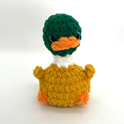 Mallard Silly Bird