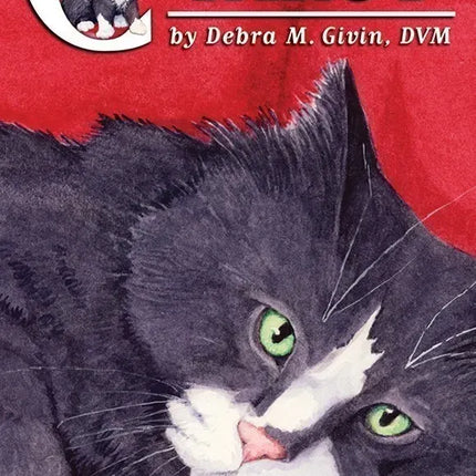Cat's Eye Tarot