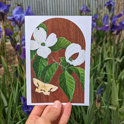 Crocus Geometer Card