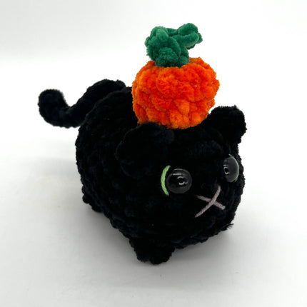 Black Cat w/ Pumpkin Hat