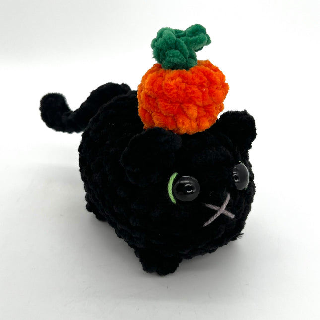Black Cat w/ Pumpkin Hat