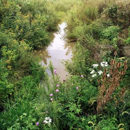 Rainy Morning Water Channel