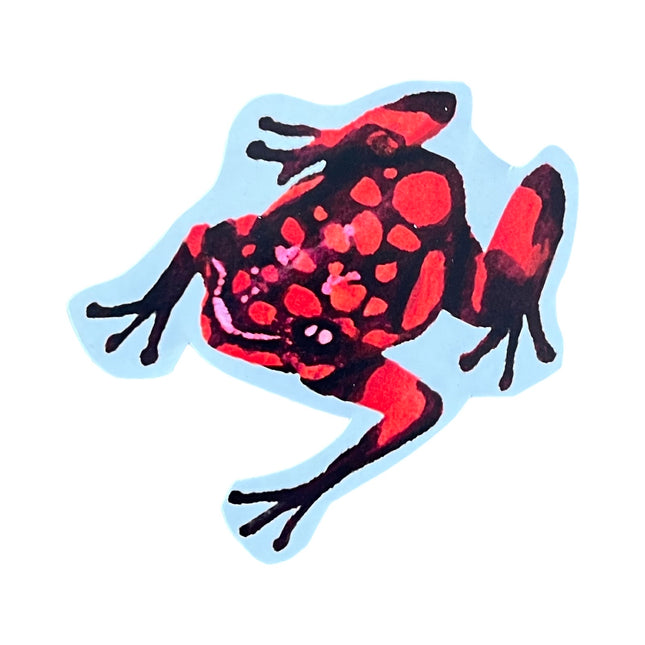 Red Poison Dart Frog
