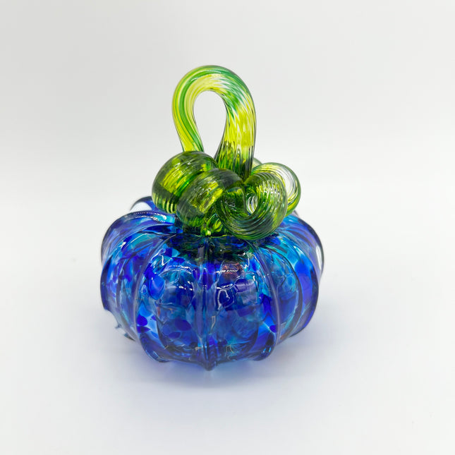 03 | Blue Mix Pumpkin