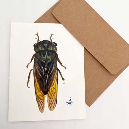 Blue/Green Cicada