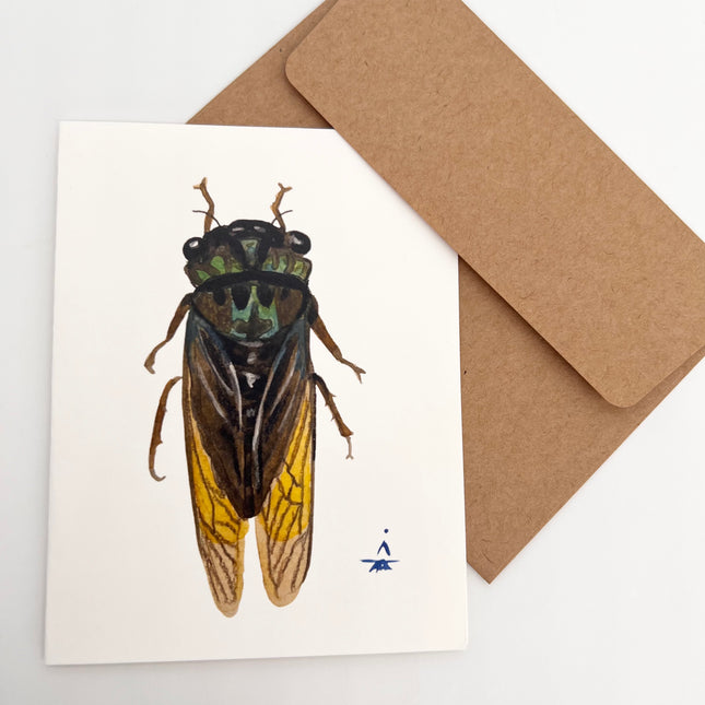 Blue/Green Cicada