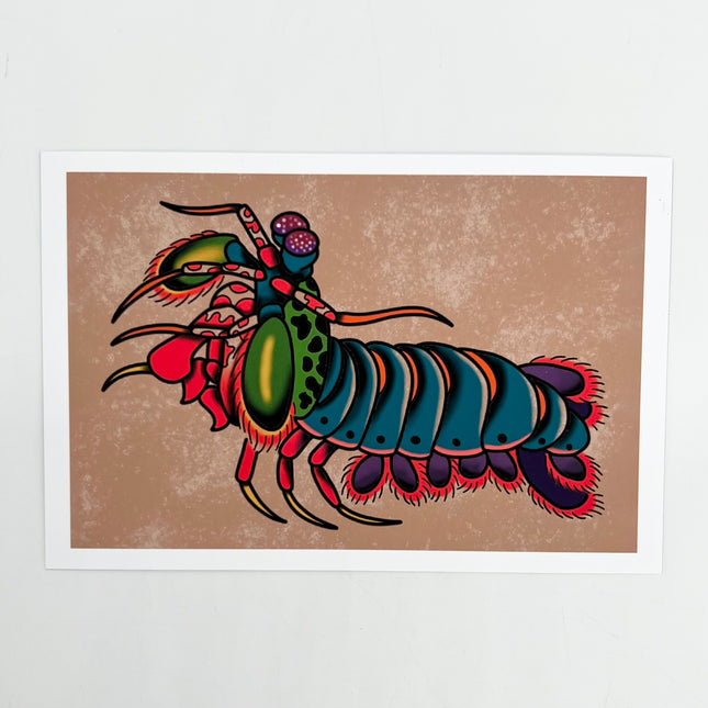Mantis Shrimp Print - 4" x 6"