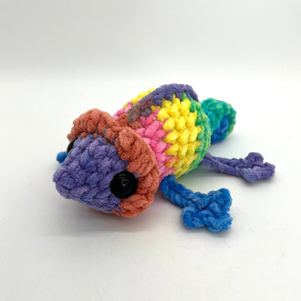 Chameleon-Rainbow