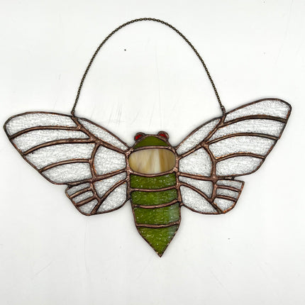 Cicada (crackle wings)