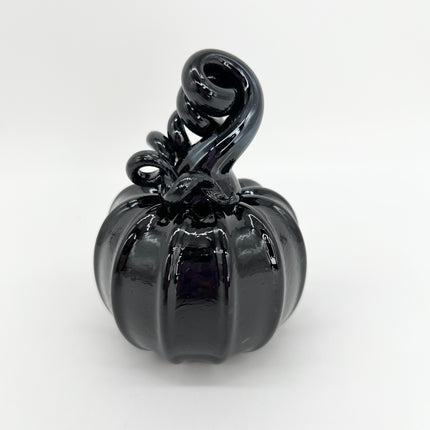 01 | Black with Black Stem Pumpkin
