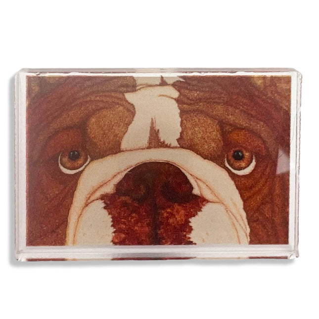 Bulldog Acrylic Pin