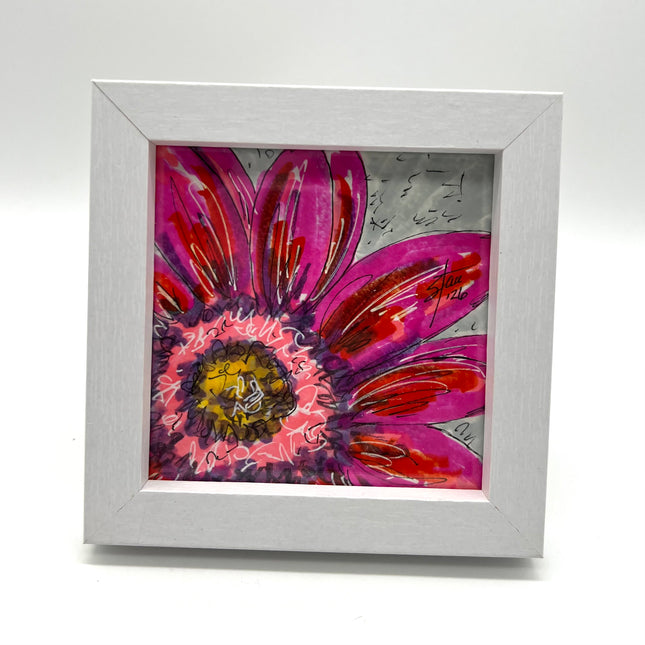 Pinkishous Daisy