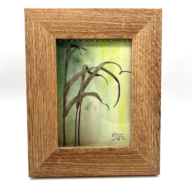 Tangle of Grasses