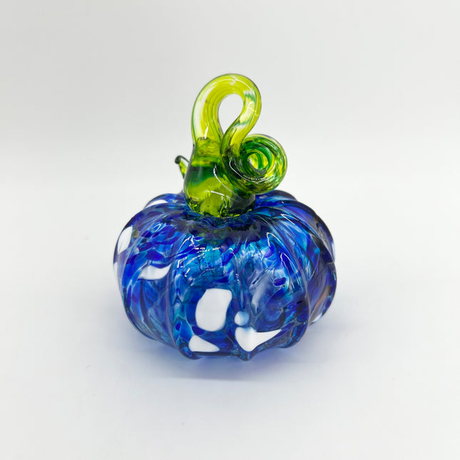 04 | Blue Mix Pumpkin