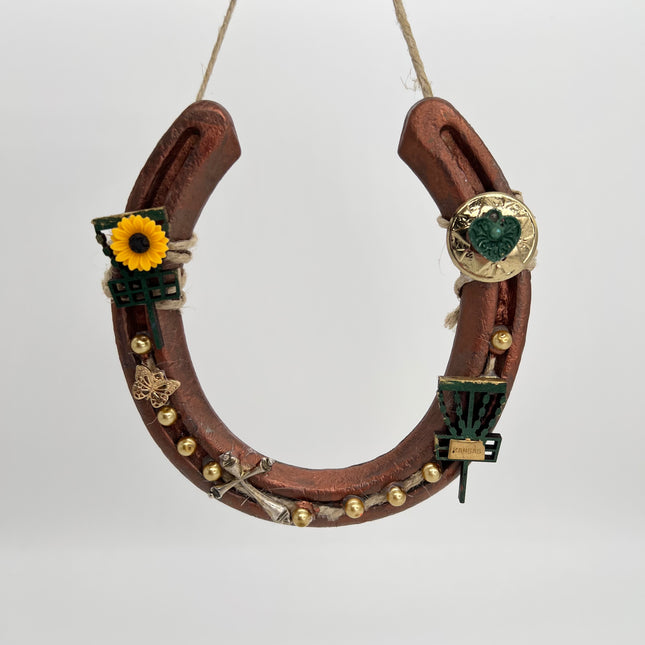 Disc Golf Horse Shoe